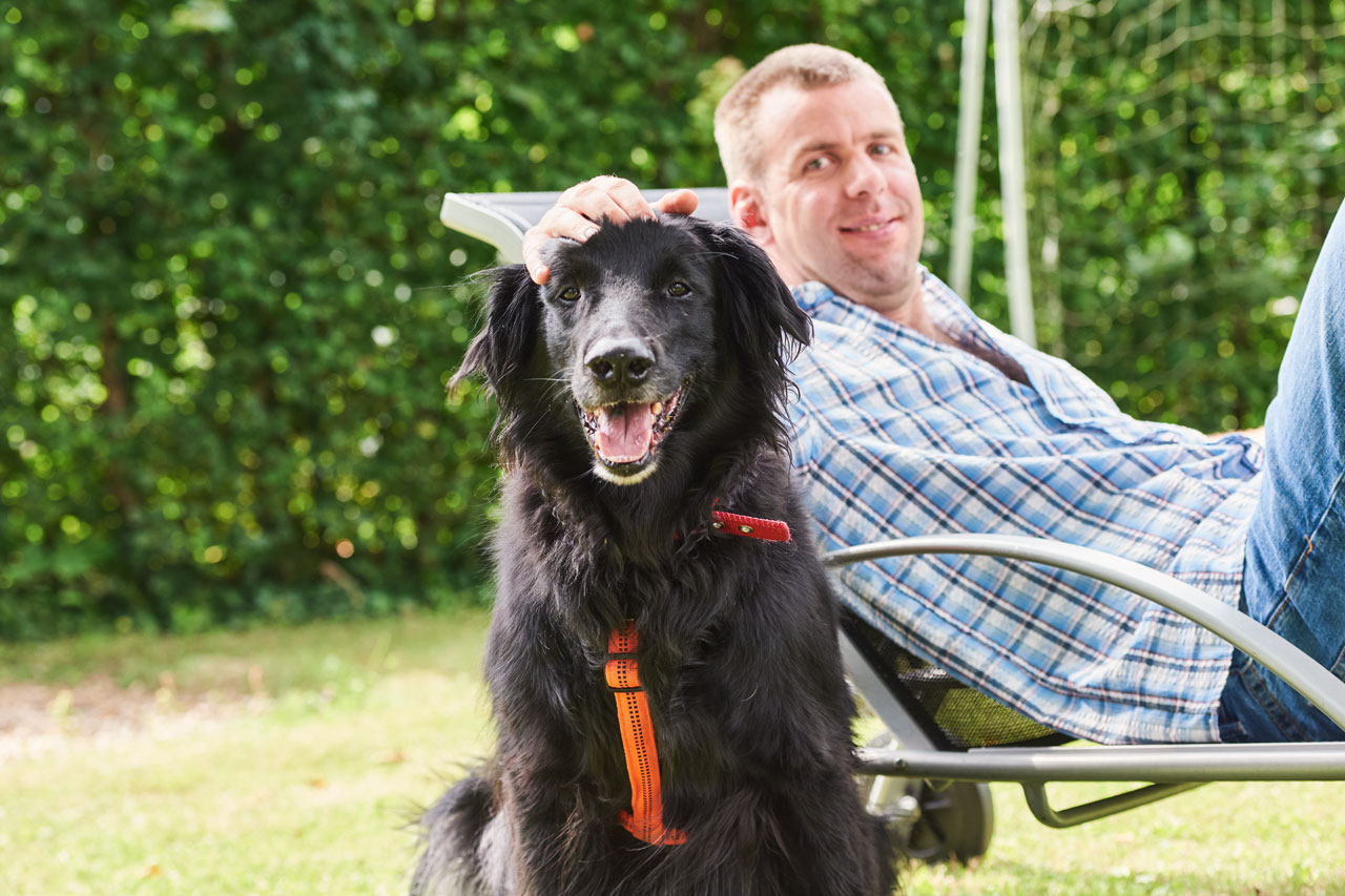 Haustiere Ein Mann liegt auf einer Liege im Garten, davor sitzt ein Hund