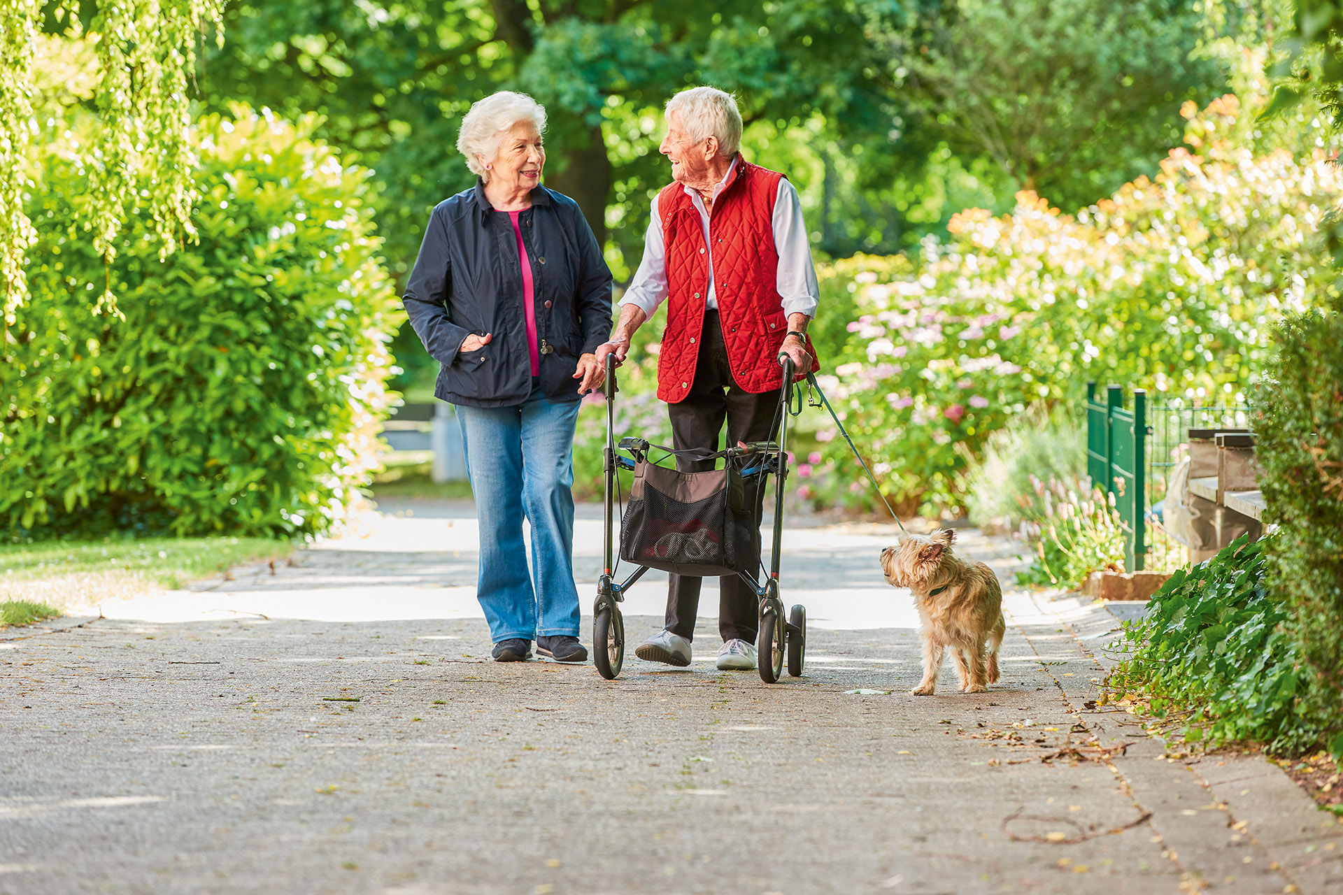 Ein Seniorenpaar und ein kleiner Hund bei einem Spaziergang im Freien