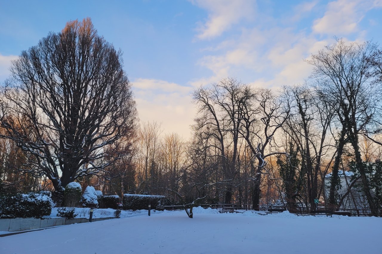 Augustinum Seniorenresidenz Braunschweig Winter Der Park des Augustinum mit Schnee bedeckt