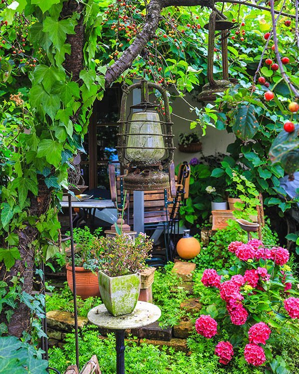 Blick auf Details in einem Schrebergarten