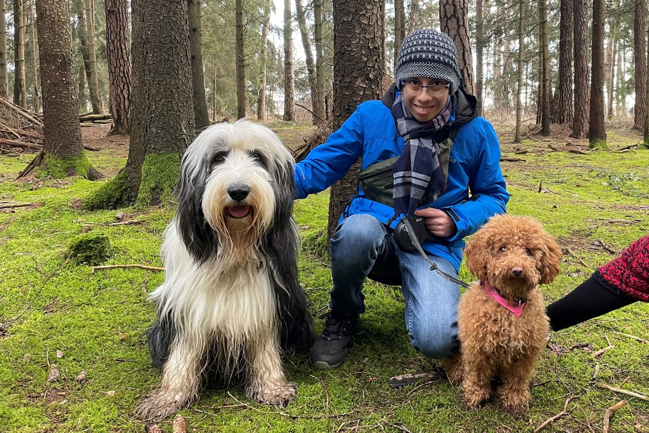 Schulhund Clooney Waldausflug mit den Schulhunden