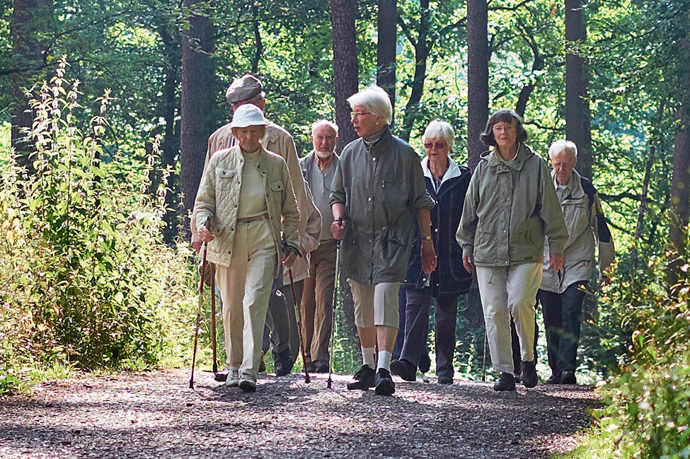Wandergruppe Wandergruppe im Wald