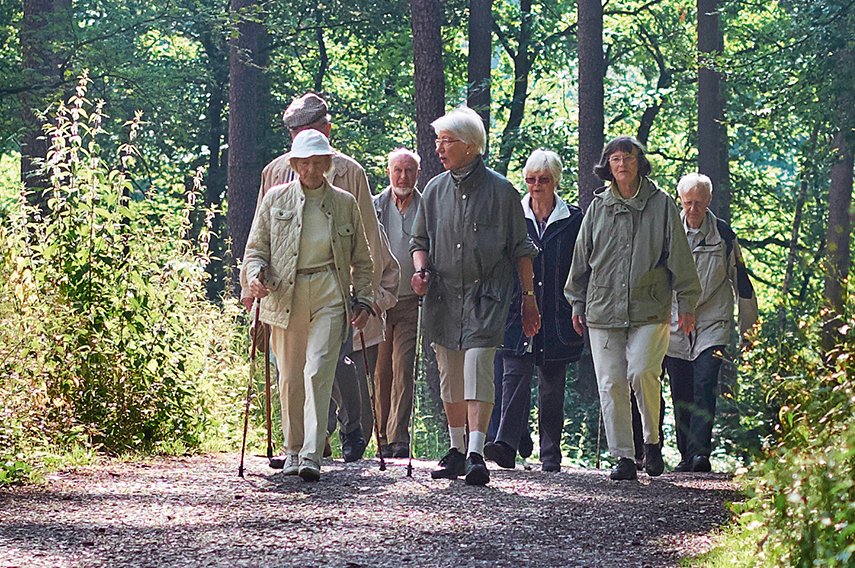 Wandergruppe im Wald