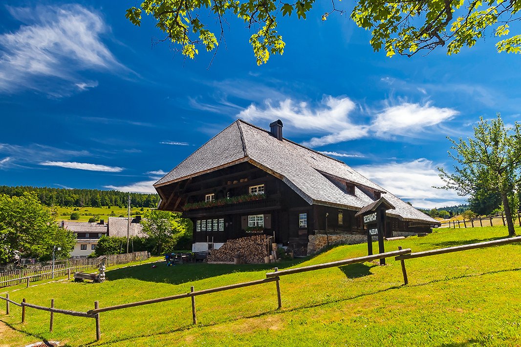 Der Schwarzwald mit seinen vielen Ausflugszielen liegt direkt vor der Tür. Der Schwarzwald mit seinen vielen Ausflugszielen liegt direkt vor der Tür.