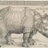 Nashorn Zeichnung von Dürer ein gezeichnetes Nashorn