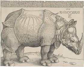 Albrecht Dürer – das Genie der deutschen Renaissance Albrecht Dürer – das Genie der deutschen Renaissance