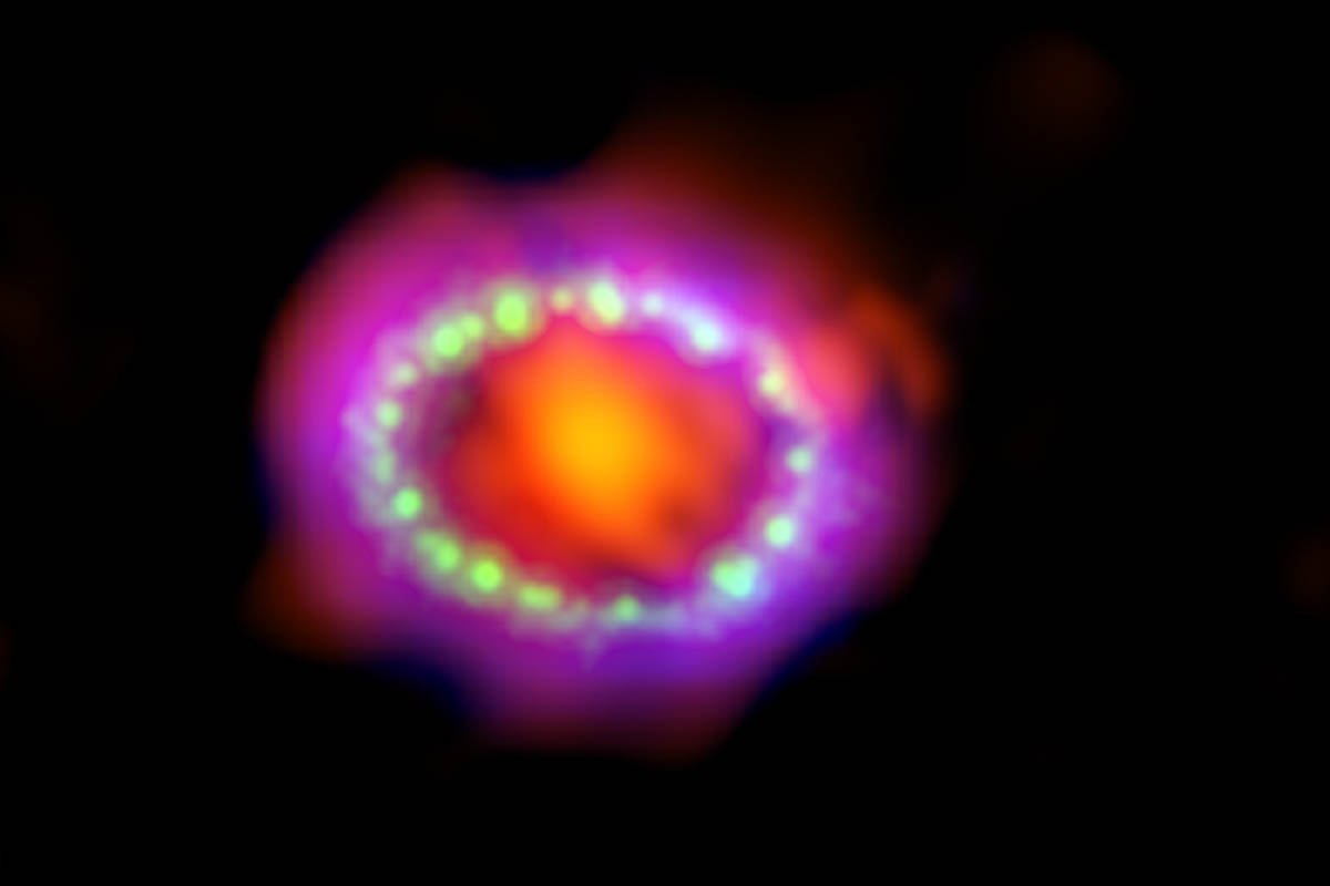 Supernova mit einem Radioteleskop von der Erde aus beobachtet