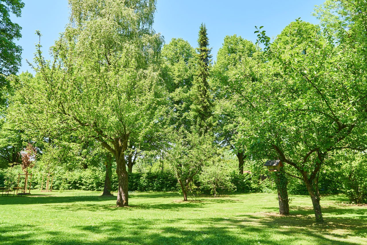 Augustinum Förderbereich Sondermeierstraße