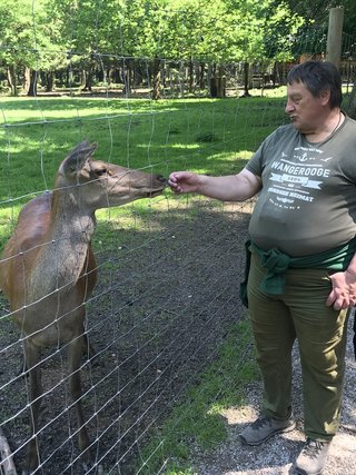 Ausflug zum Wildpark Ausflug zum Wildpark