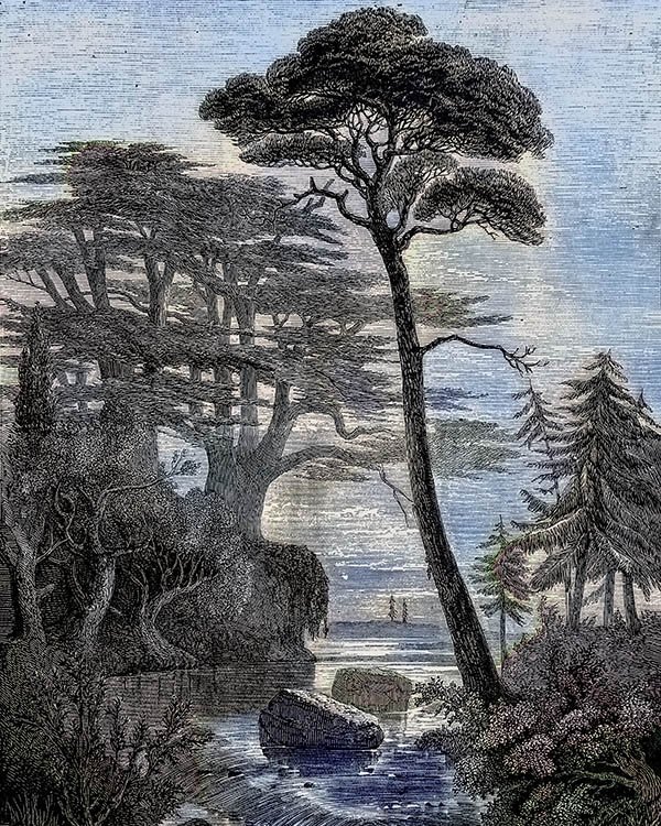 Biblische Oase, Illustration nach Jesaja 41, 17-20