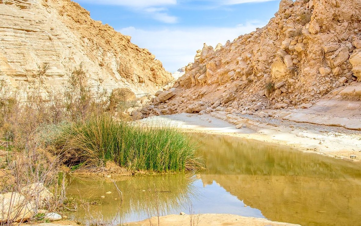 kleine Oase in der Wüste Negev, Israel