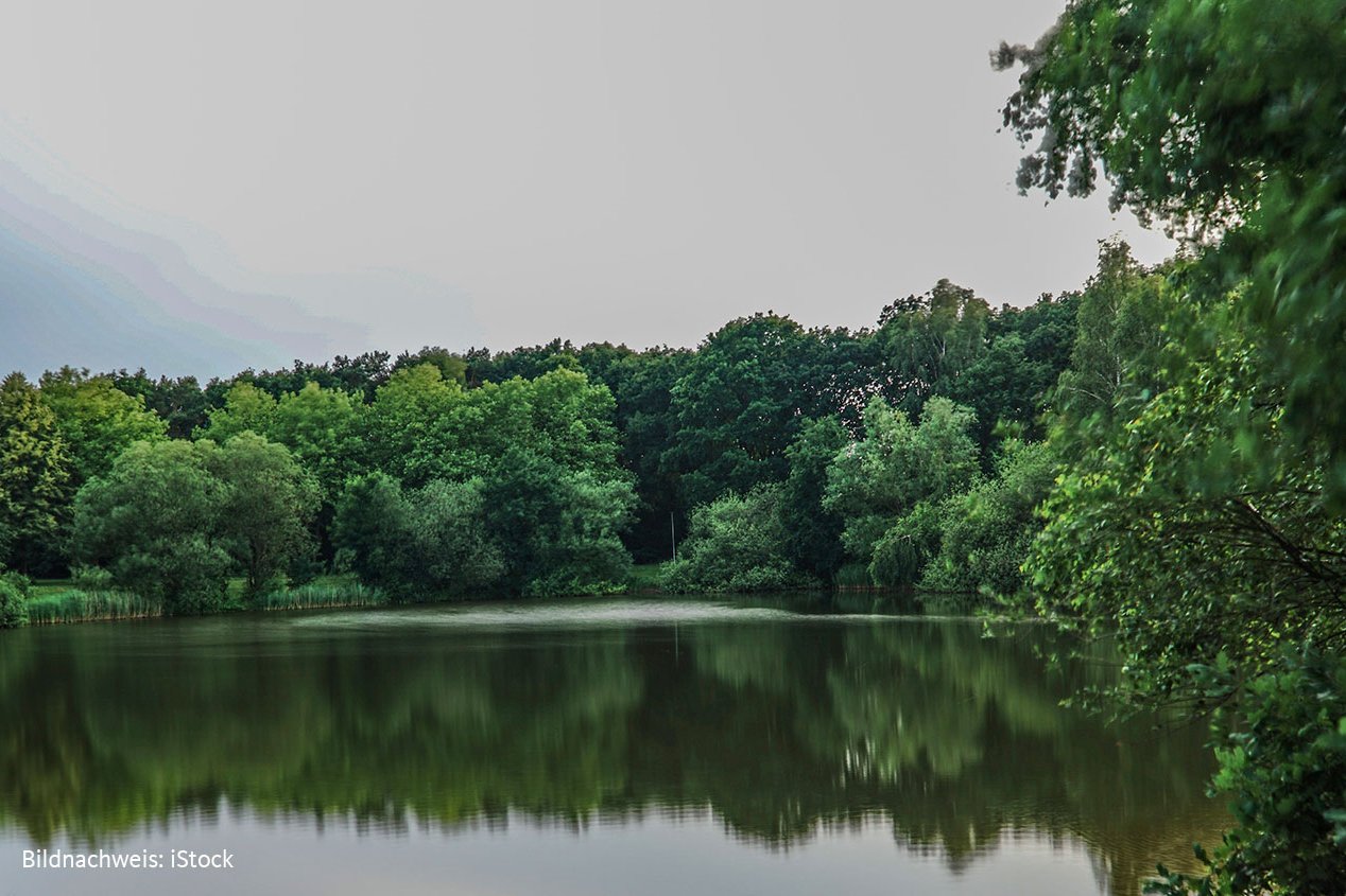 Vom Augustinum Aumühle sind es nur ein paar Schritte zum Mühlenteich und den drei Ausflugsrestaurants an seinem Ufer. Teich mit bewaldeten Ufern.