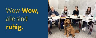 Auf den (Schul-)Hund gekommen Auf den (Schul-)Hund gekommen