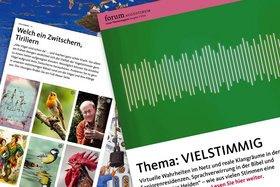 Titelbild-Collage der neuen forum-Aiusgabe mit Schallwellen und Bildern verschiedener Vögel