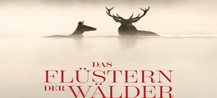 Filmplakat