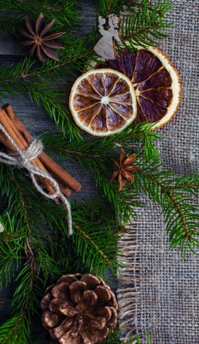 Orangenscheiben und Zimtstangen auf Tannengrün Orangenscheiben und Zimtstangen auf Tannengrün