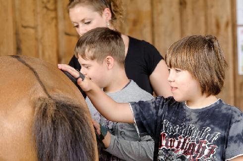 Kinder striegeln ein Pferd bei der Reittherapie