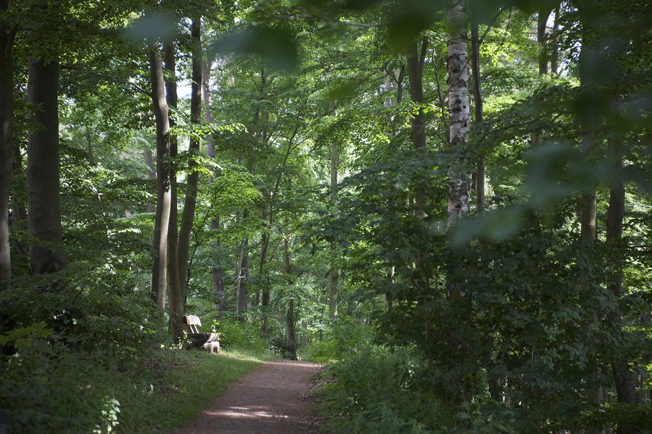Direkt am Haus beginnen Rad- und Wanderwege in die Lauenburgische Seenlandschaft. Auch der Kurpark und der Wildpark laden zu ausgedehnten Spaziergängen ein.